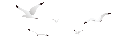 Le restaurant - La Blanche Hermine - Nantes